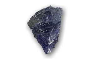 estelar