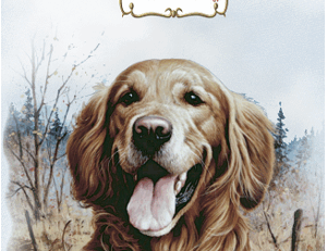 tarot on line o cachorro
